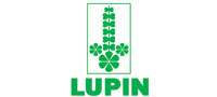 Generator Rentals to Lupin